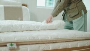 How to check a mattress for bed bugs